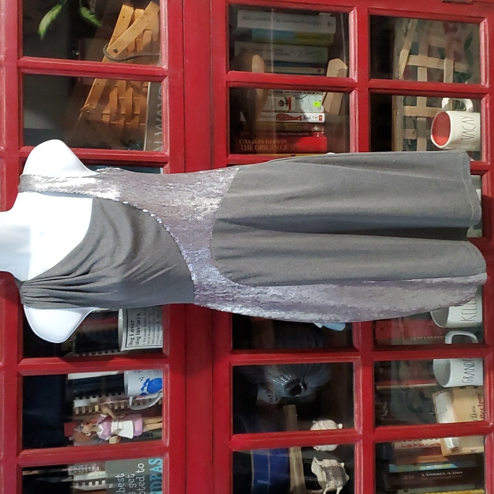 DAVID MEISTER dress.     #3952